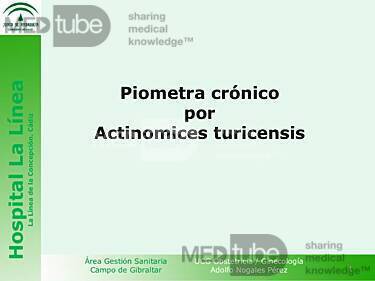 Piometra Cronico 78 Anos Actinomices Turicensis