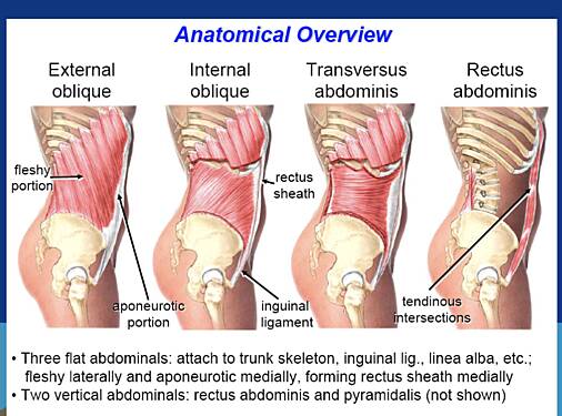 Reparación de hernia incisional ventral