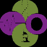 Obesity Week 2013