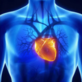 Baltic Electrocardiology Autumn: Telemedicine and Arrhythmia