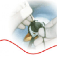 2015 Otological Microsurgery Course with Emphasis on Minimally Invasive Techniques