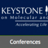New Therapeutics for Diabetes and Obesity