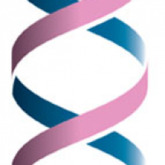6th International Symposium on Hereditary Breast and Ovarian Cancer