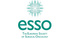 ESSO Course on Basics of Oncology for Surgeons