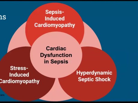 Disfunción cardíaca en la sepsis