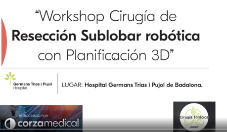 Cirugía de Resección Sublobar robótica con Planificación 3D