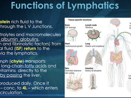 Linfangitis y Linfedema