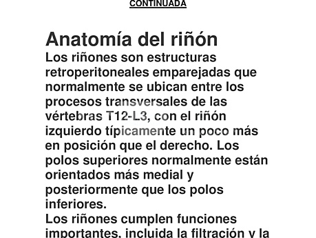 Anatomía del riñón