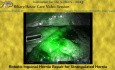 Reparación robótica de hernia inguinal en caso de hernia estrangulada