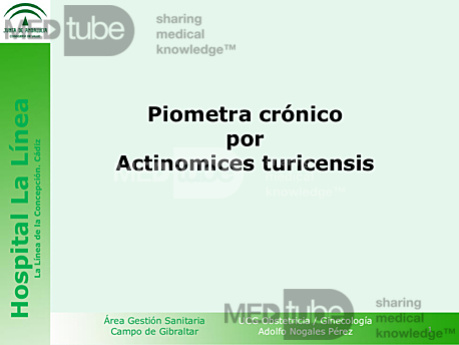 Piometra Cronico 78 Anos Actinomices Turicensis