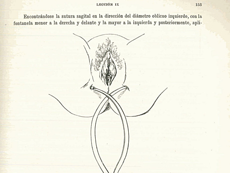Clinica Obstetrica Liepmann