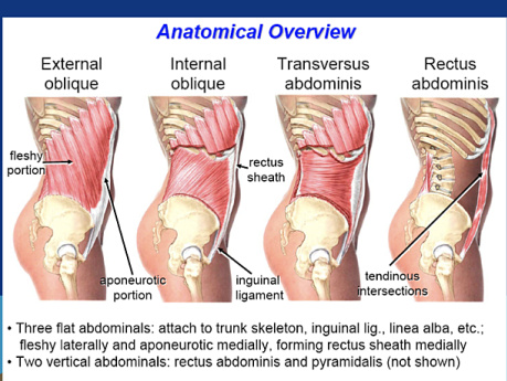 Reparación de hernia incisional ventral