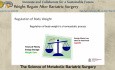La ciencia de la cirugía bariátrica metabólica