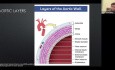 Ecocardiografía y aorta: fundamentos y más