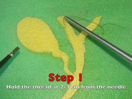 Presentación de la aguja