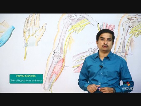 Curso detallado sobre la anatomía del nervio cubital para USMLE - Dr. Bhanu Prakash