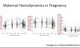Ecocardiografía en el corazón de una embarazada