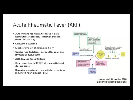 Papel del ecocardiograma en la cardiopatía reumática