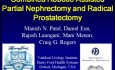 Nefrectomía parcial y prostatectomía radical asistida por un robot a través de puerto único