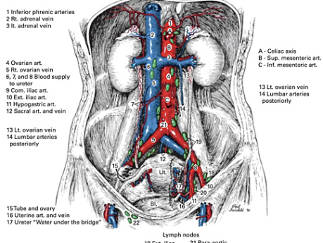 Atlas de operaciones quirúrgicas de Zollinger - 9.ª edición