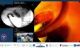 Cuando la puerta está cerrada con llave, busque otra llave. CPRE con endoscopio de visión frontal.